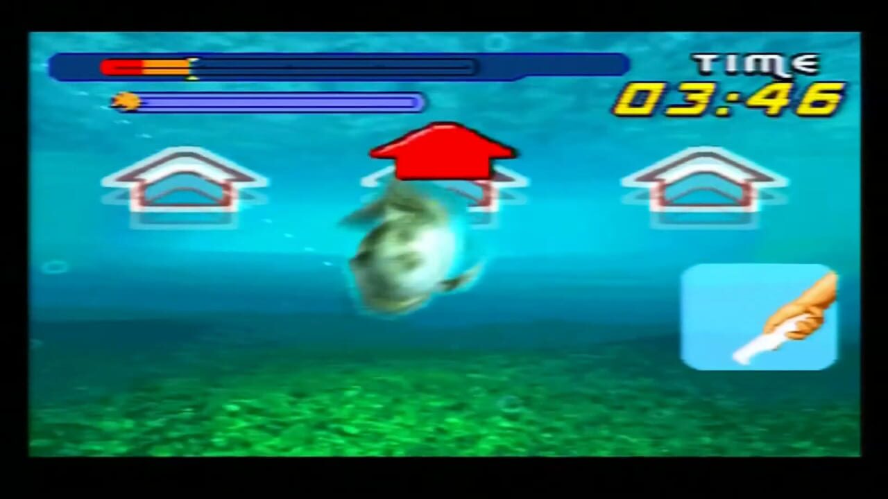 Catch Fish — Screenshot 3