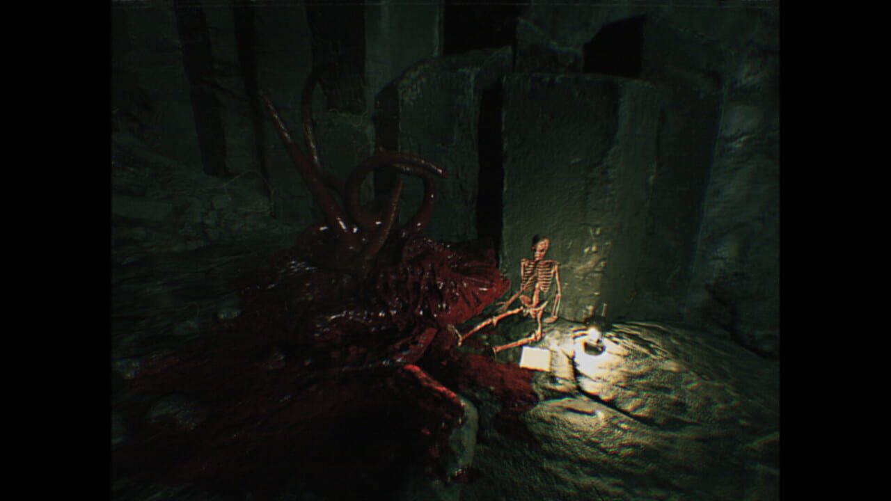 Gore Image