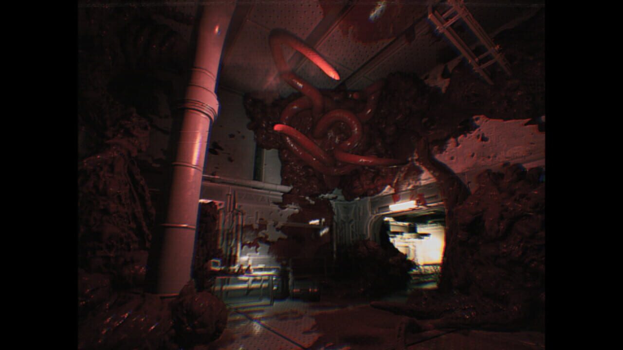 Gore Image