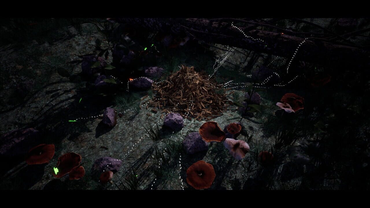 Soilborn: Ant Empire Image