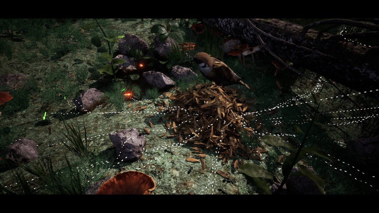 Soilborn: Ant Empire Image