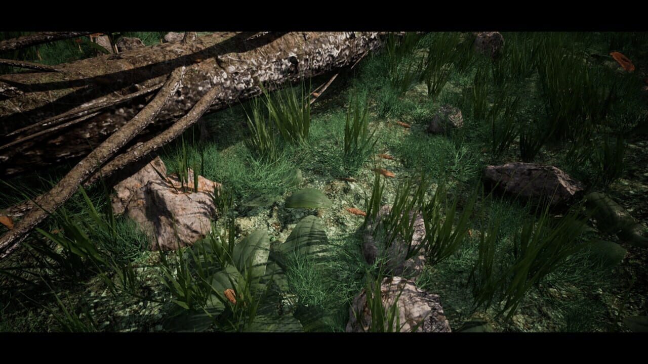 Soilborn: Ant Empire Image