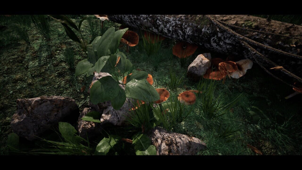 Soilborn: Ant Empire Image