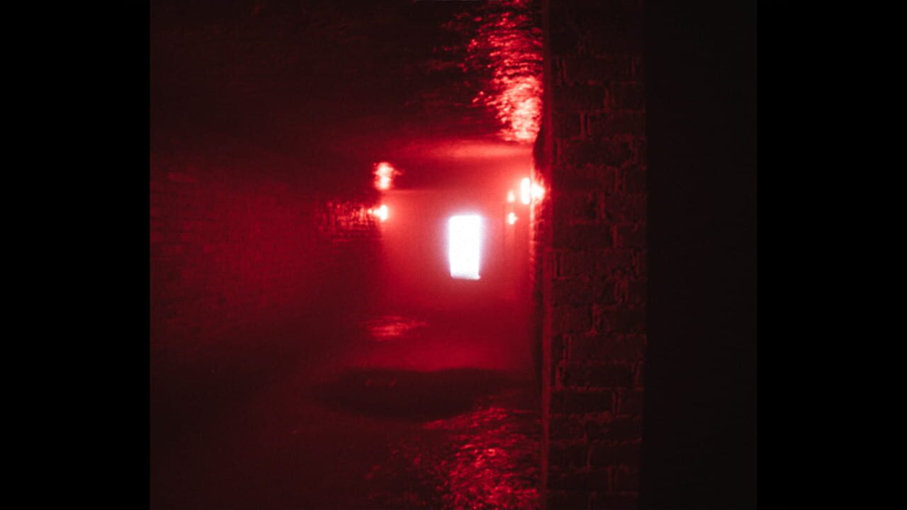 D.I.M. — Screenshot 5