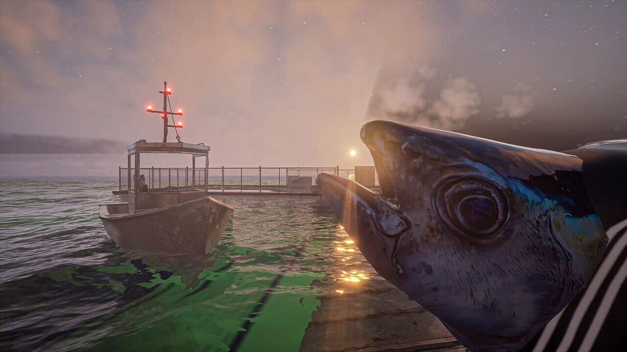 Umigari Image