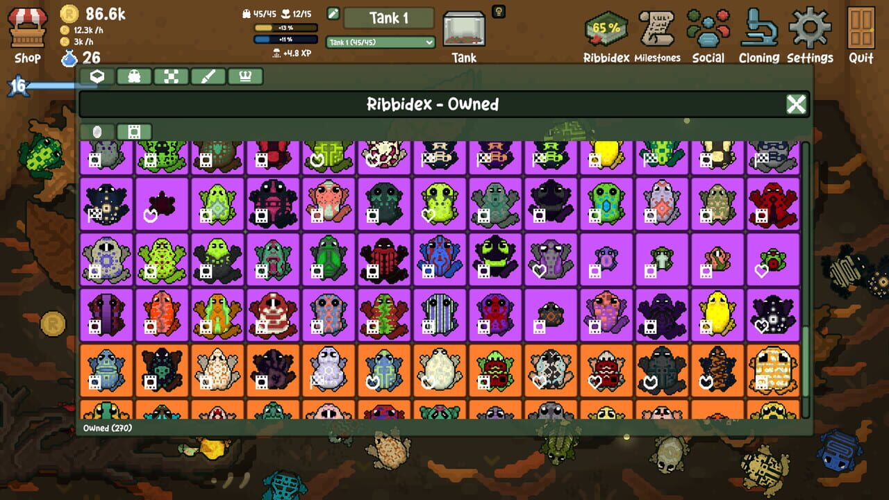 Ribbit Ranch Image