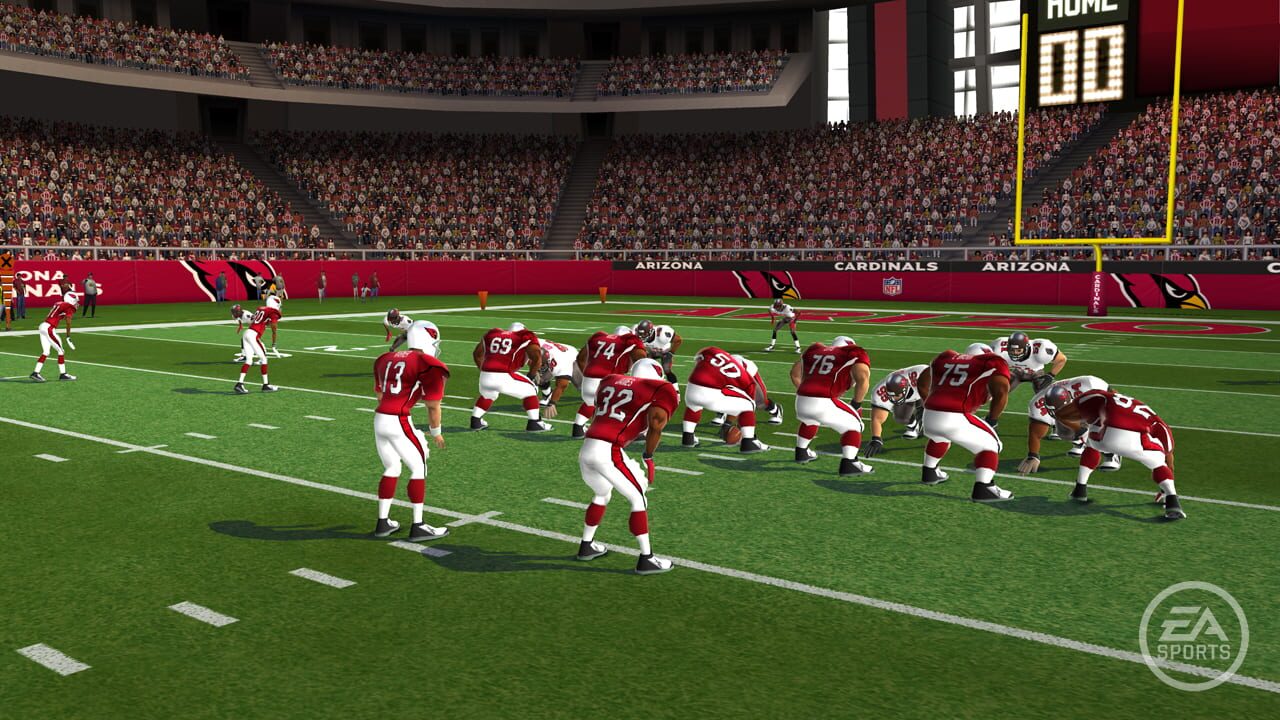 Madden NFL 10 Image