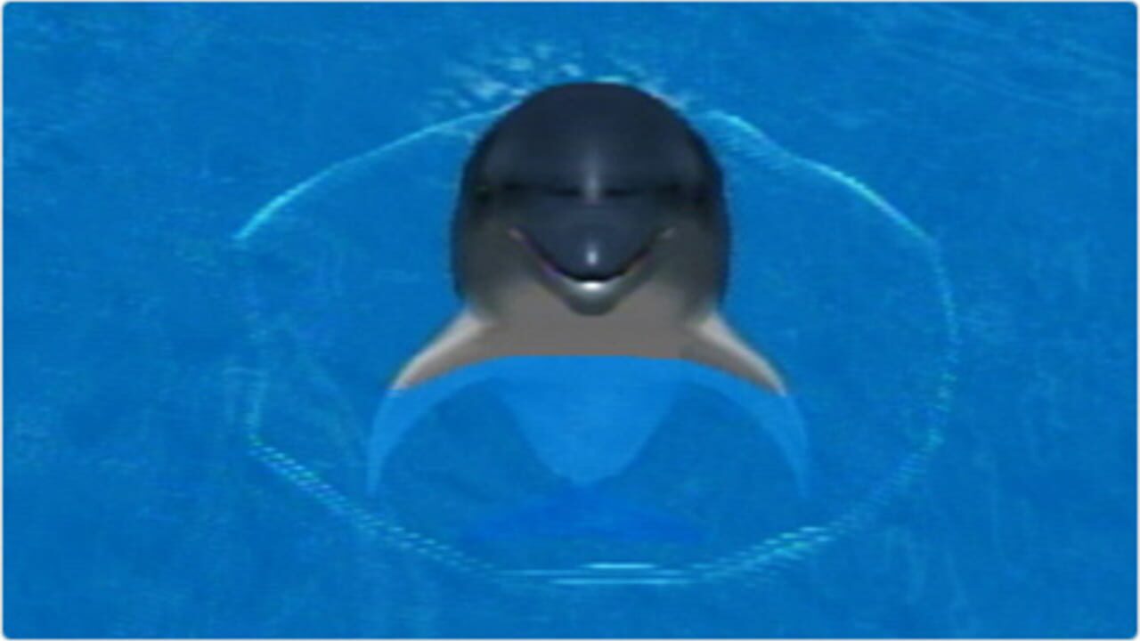My Dolphin — Screenshot 4