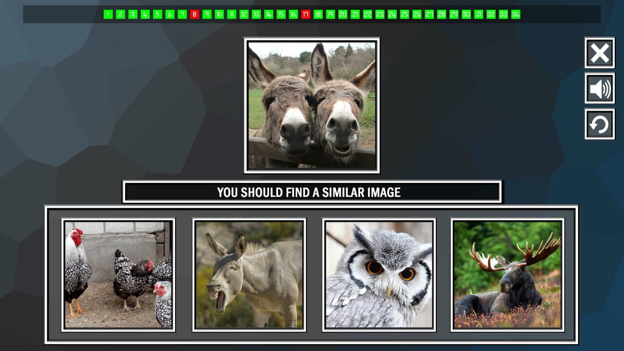 Repeat the image: Animals — Screenshot 3