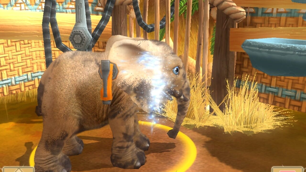Wildlife Camp — Screenshot 3
