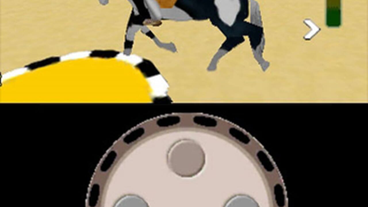 Riding Star 3D: Champion in Sattle — Screenshot 1