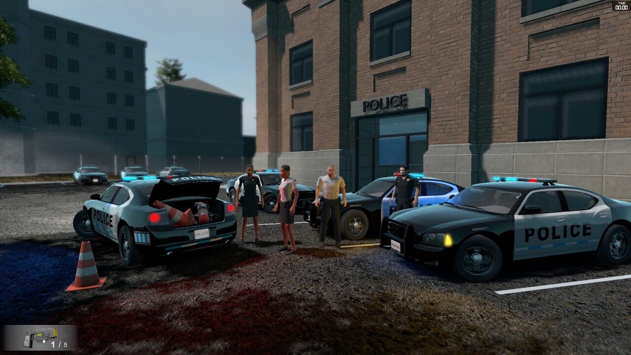Flashing Lights: Police Fire EMS Image