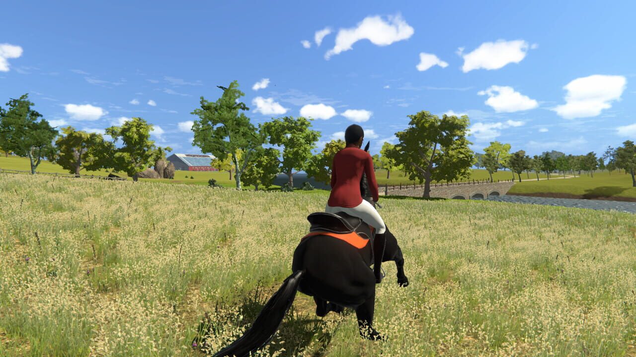 My Little Riding Champion Image