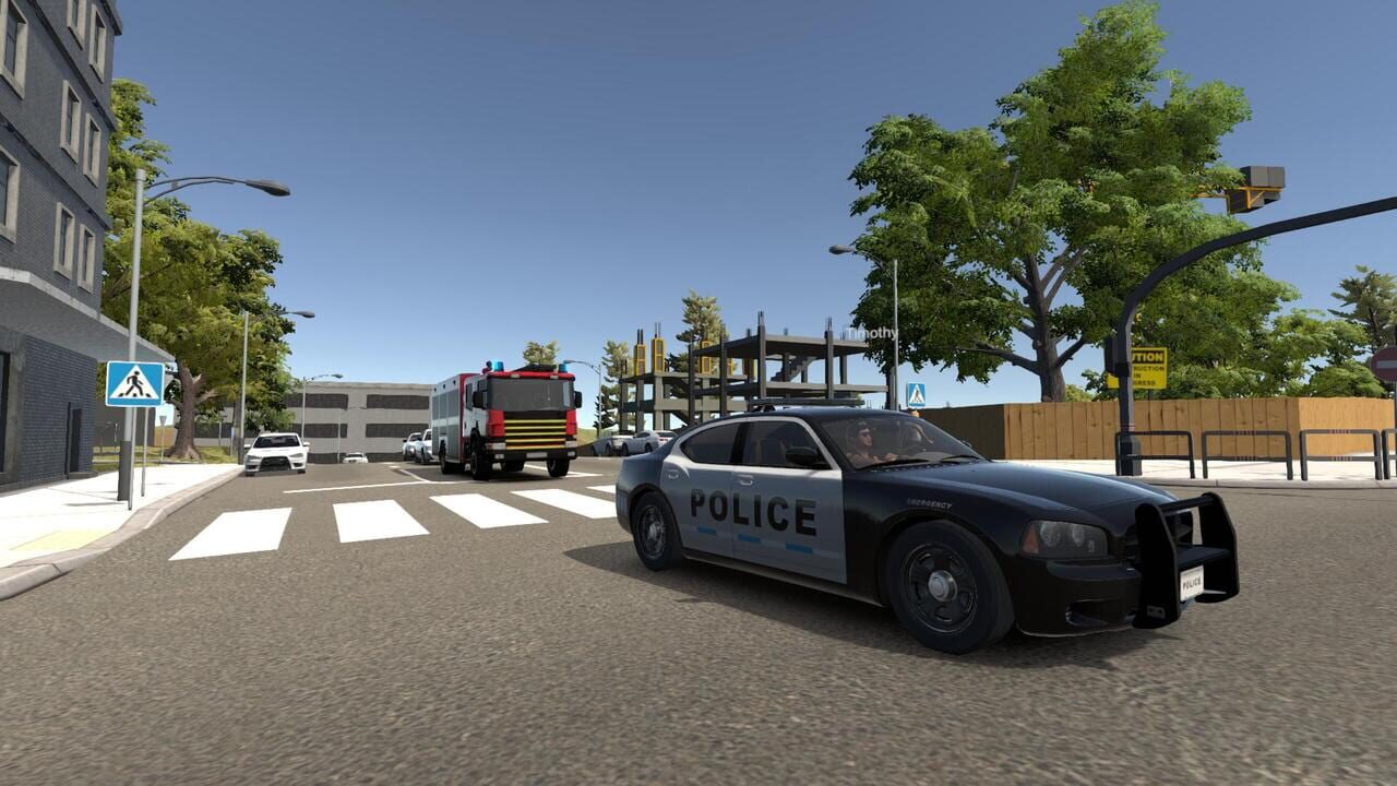 Flashing Lights: Police Fire EMS Image