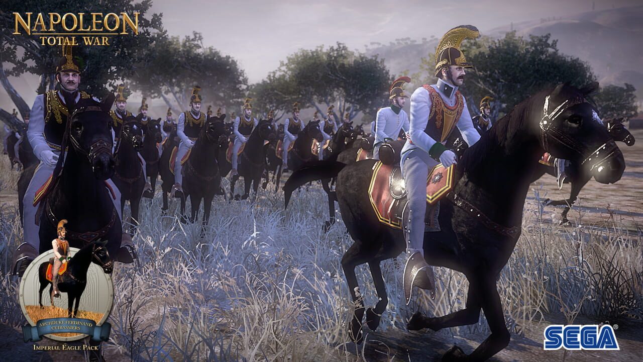 Napoleon: Total War - Imperial Eagle Pack Image
