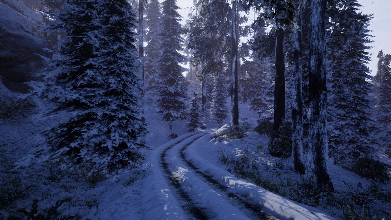 Before Nightfall Image
