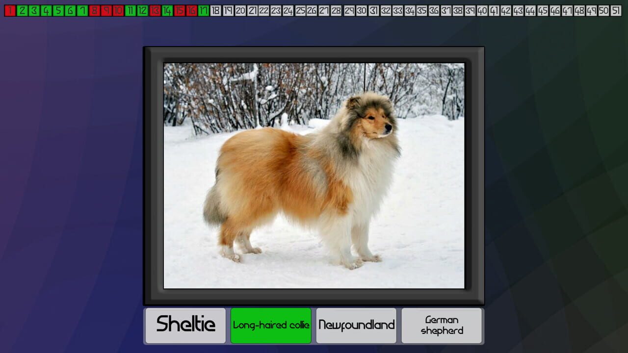 Test your knowledge: Dogs — Screenshot 5