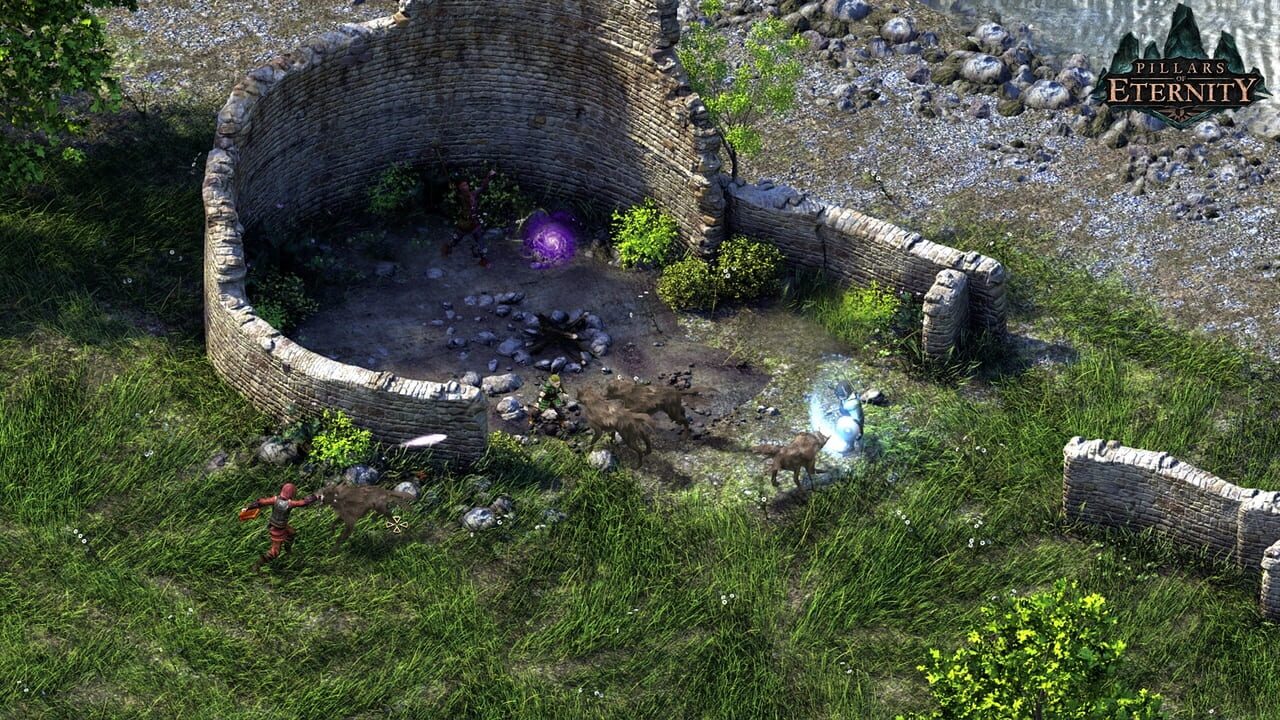 Pillars of Eternity: Complete Edition Image