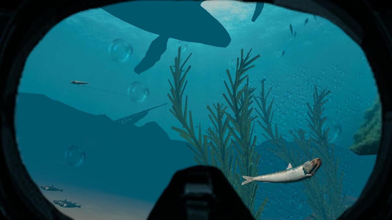 Absolute VR Experiences Image