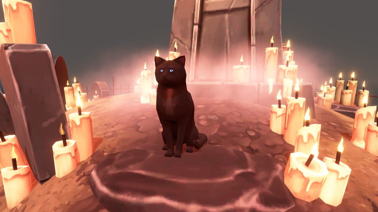 Hidden Paws Mystery — Screenshot 2