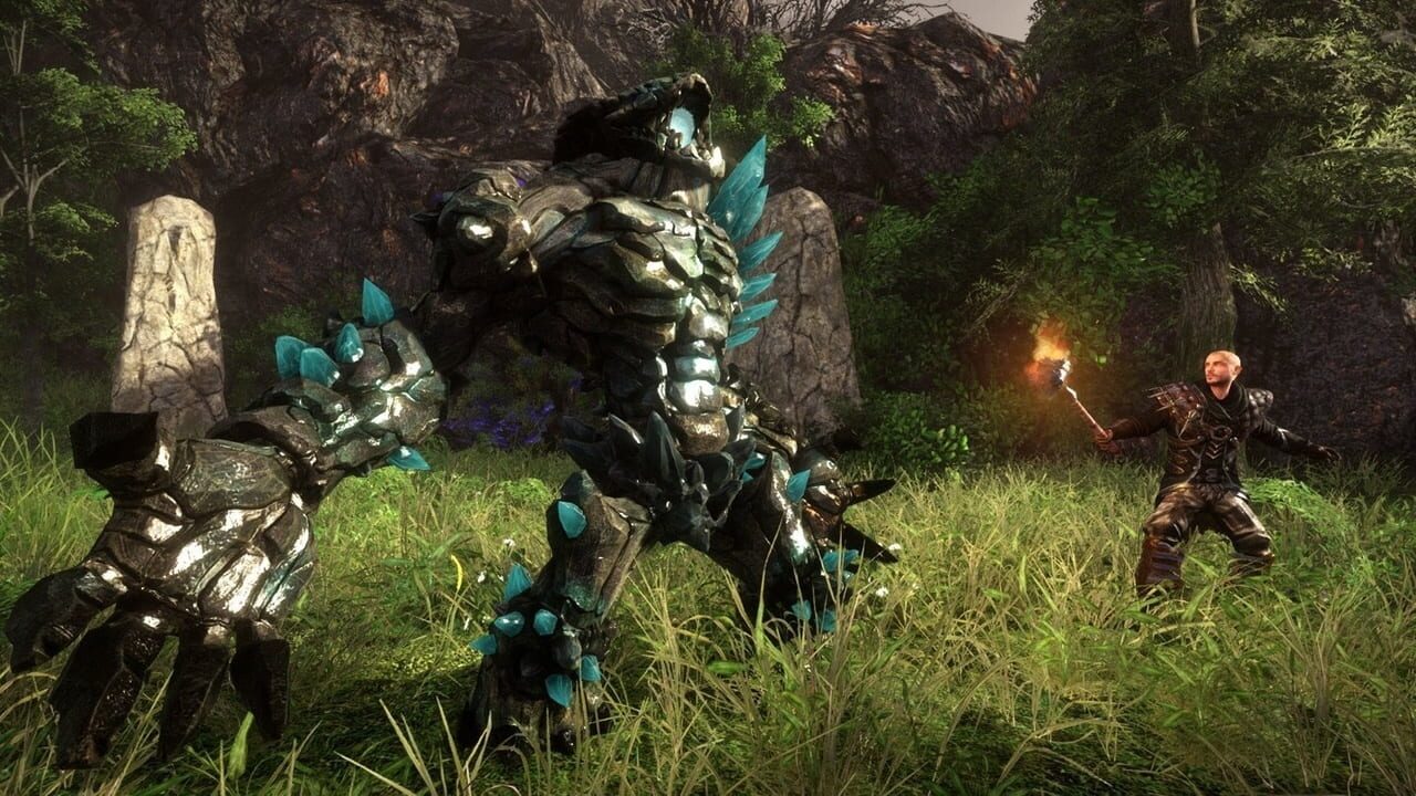 loader