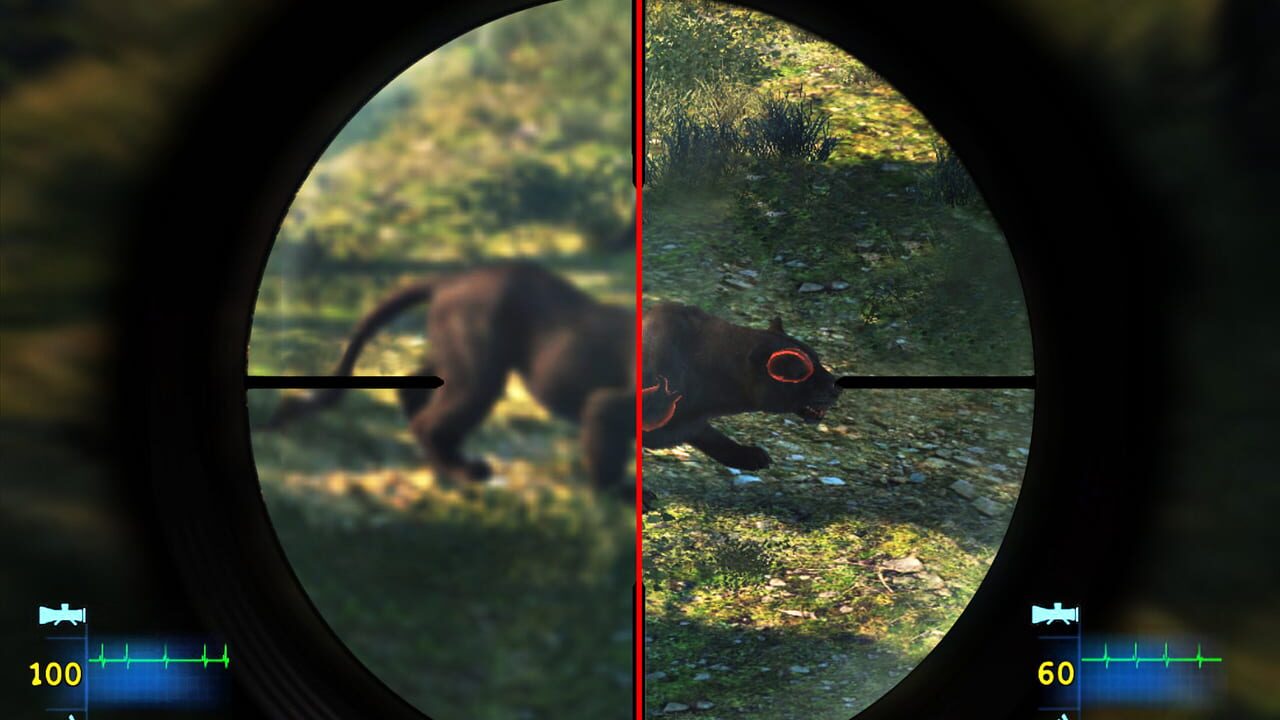 Cabela's Dangerous Hunts 2013 Image