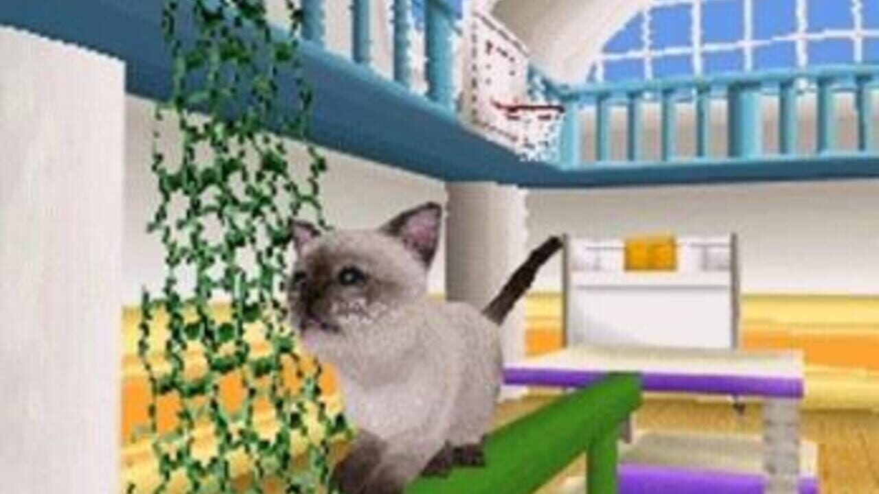 Petz Catz Family — Screenshot 2