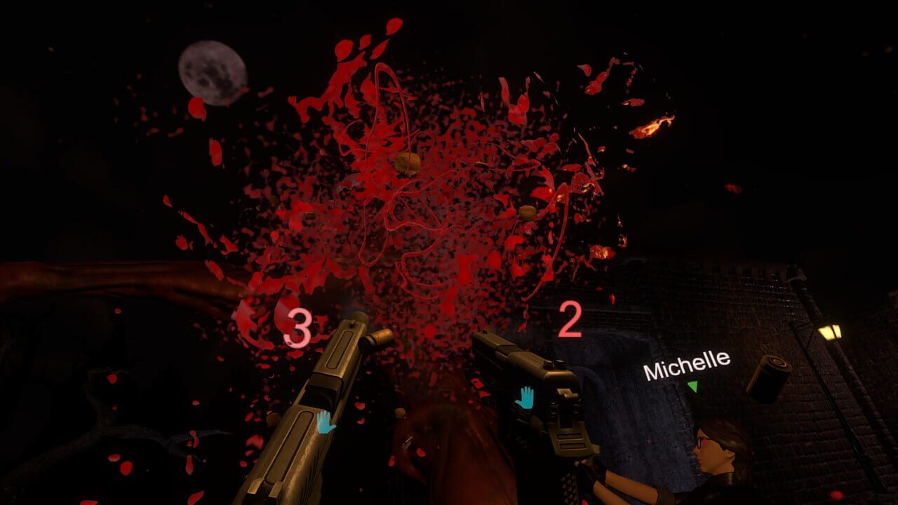 Screenshot 13