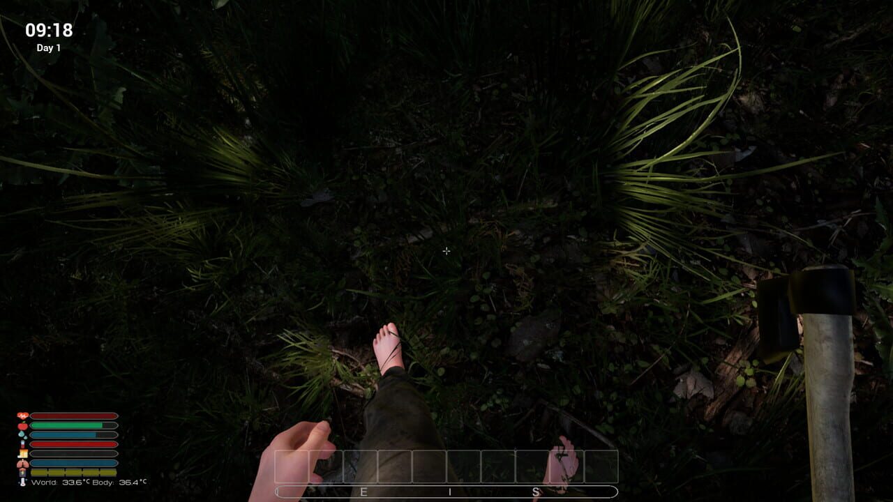 Afandas Survival Image