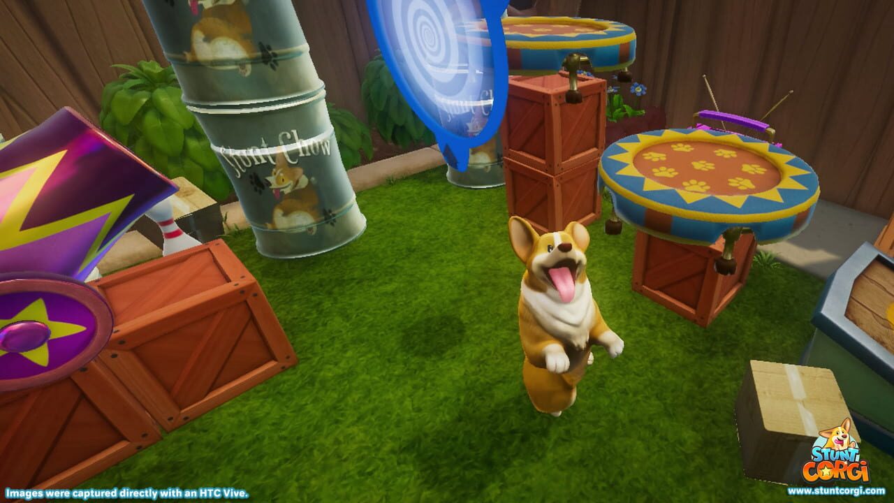 Stunt Corgi — Screenshot 4