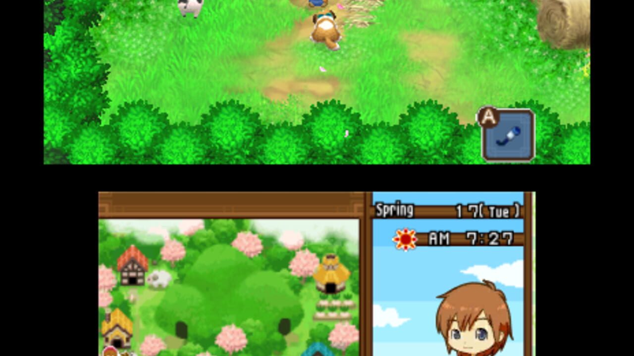 harvest moon tale of two towns butter
