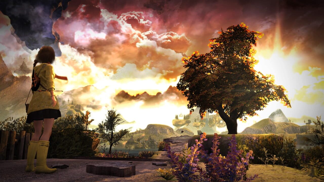 Distortions Image