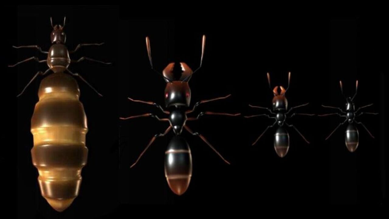 Ant Queen — Screenshot 4
