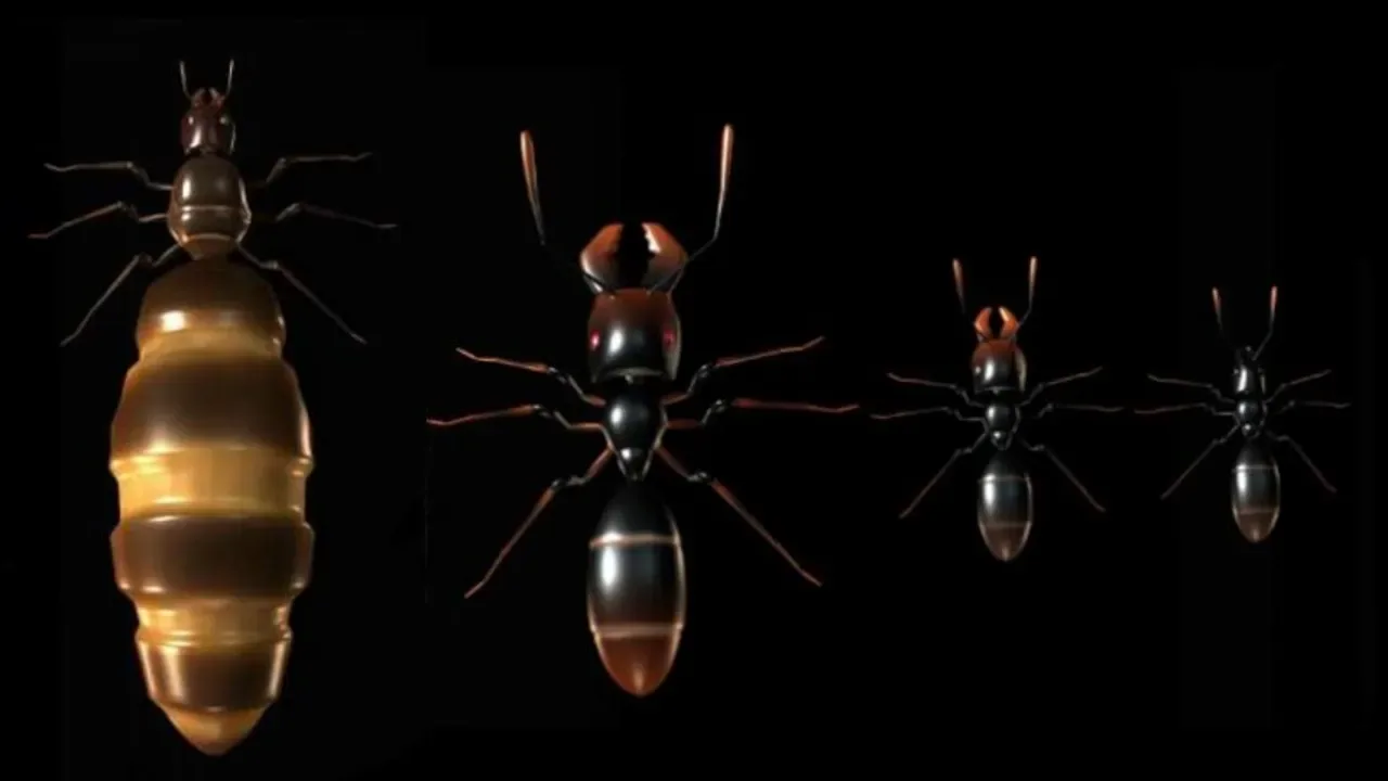 Ant Queen screenshot 4