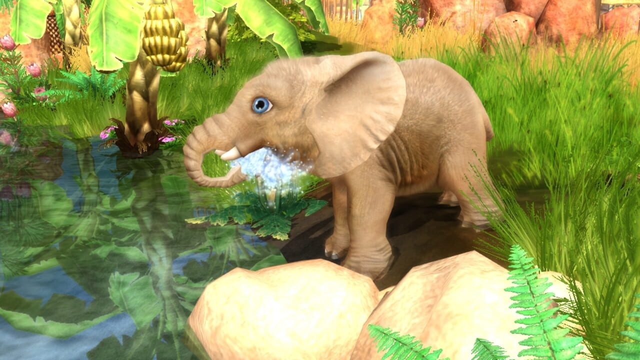 Wildlife Camp — Screenshot 2