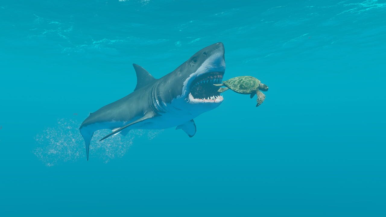 Stranded Deep Image