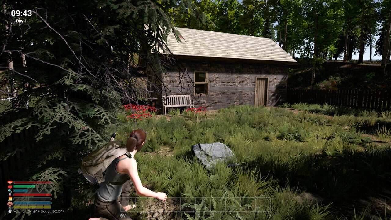 Afandas Survival Image