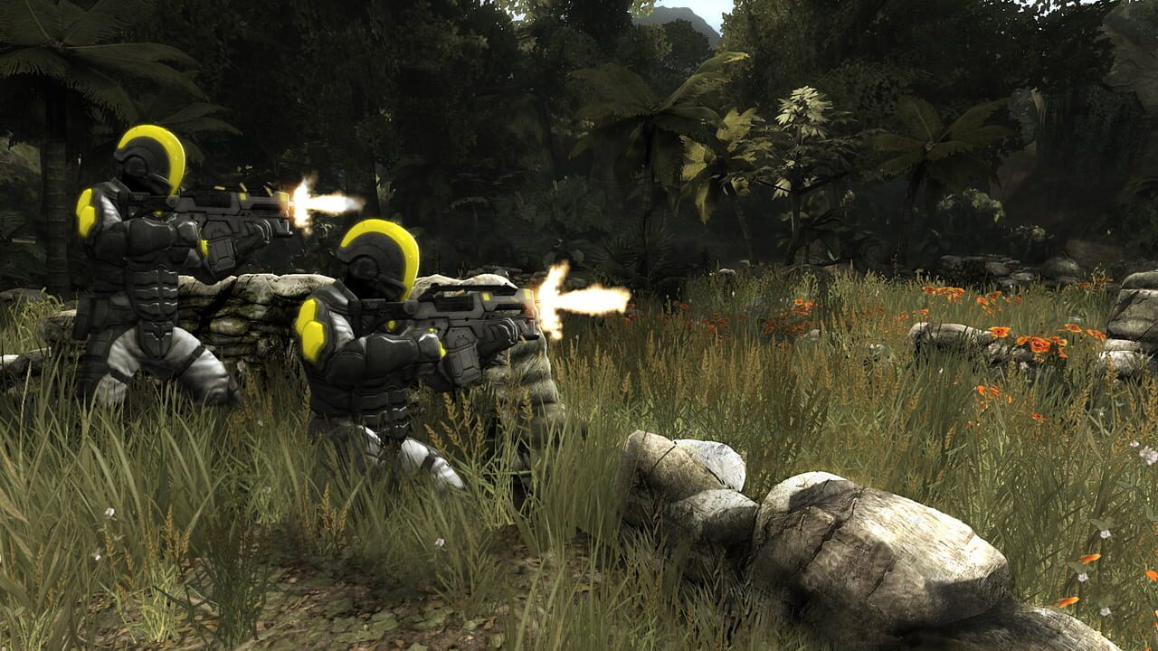 Haze miniatura 4