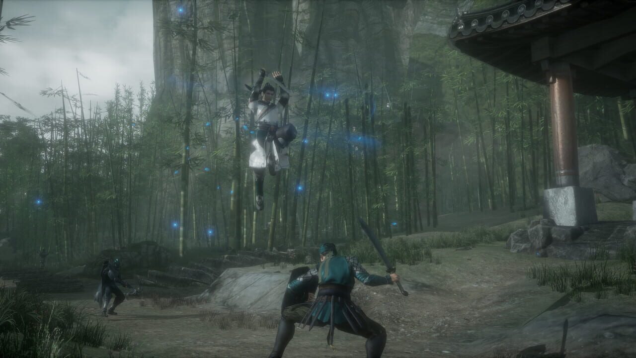 隐龙传：影踪 Image