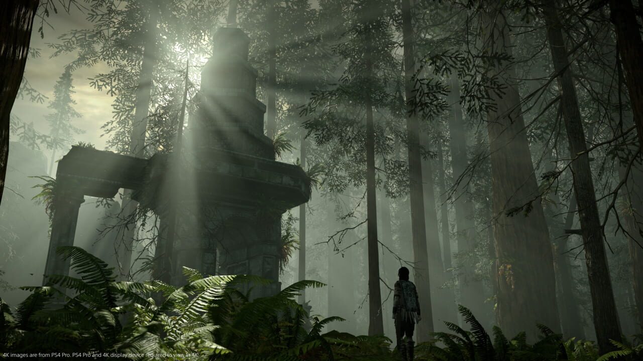 Shadow of the Colossus Image