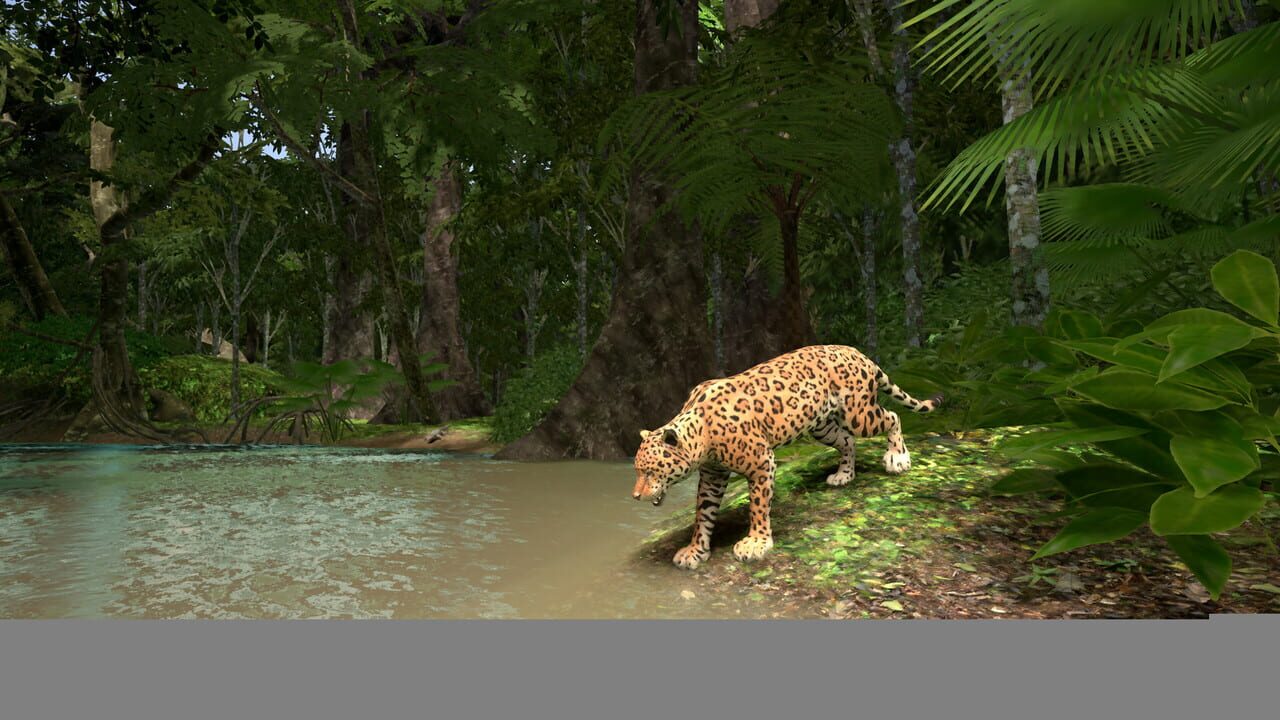Amazon Odyssey — Screenshot 3
