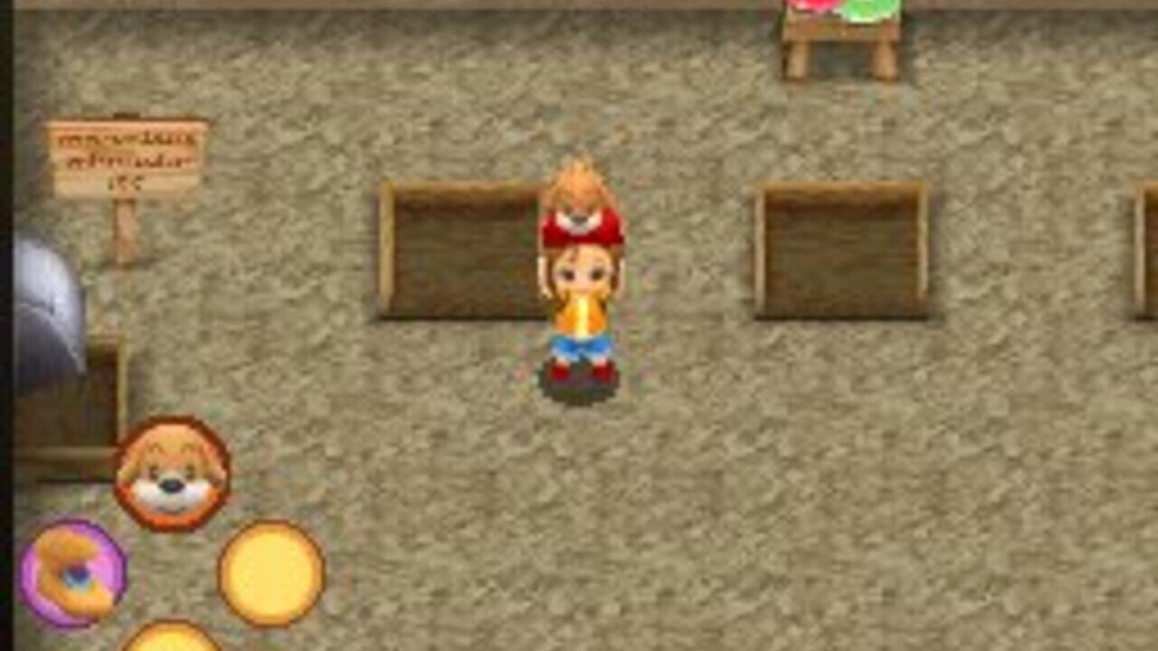 Harvest Moon DS: Sunshine Islands — Screenshot 4