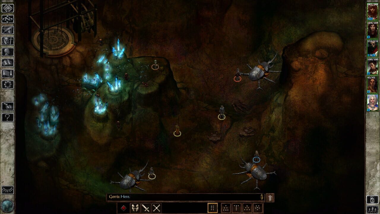 Icewind Dale: Enhanced Edition Image