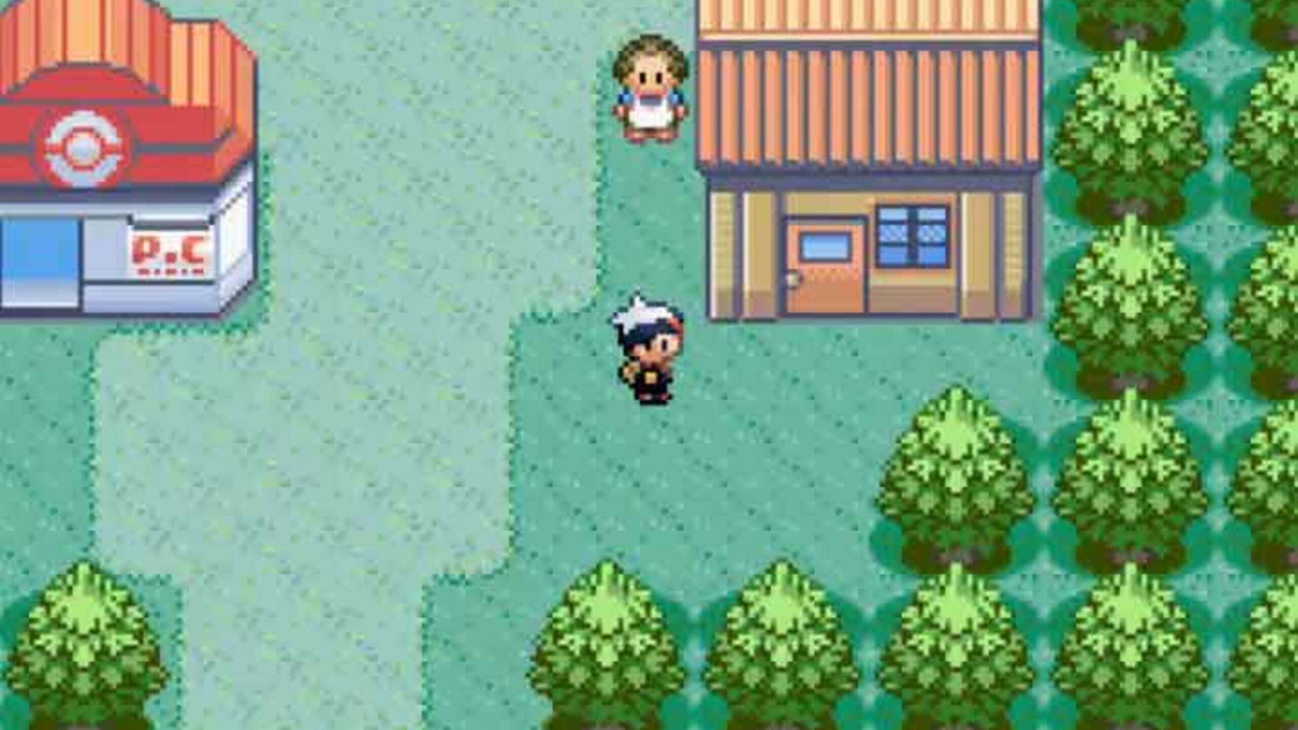 Screenshot from Pokémon Ruby Version