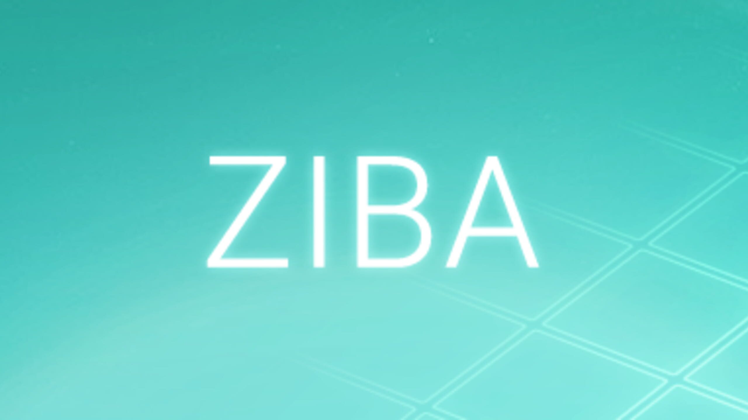 game cover art for Ziba