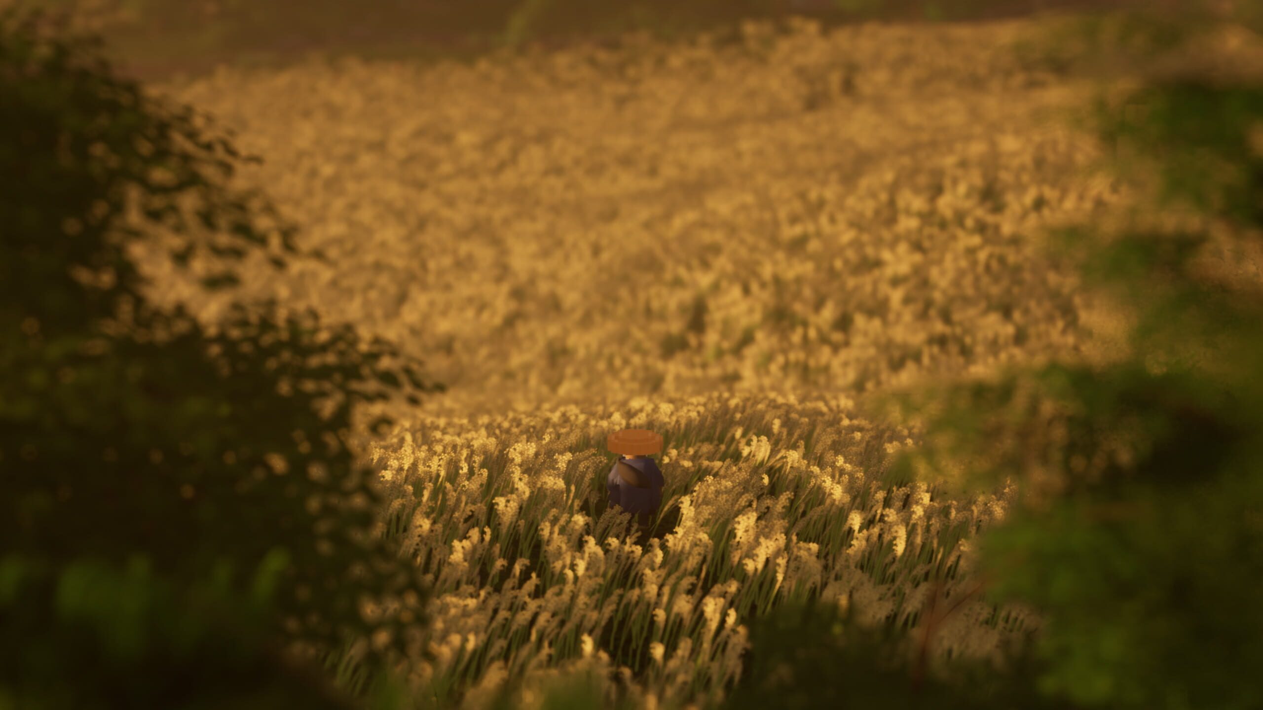 Screenshot from Ronin Trail