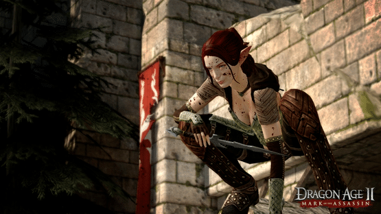 Dragon Age II: Mark of the Assassin Screenshot