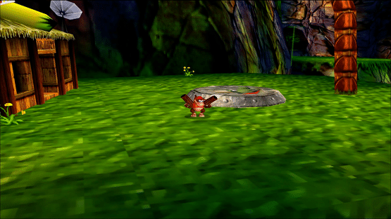 Donkey Kong 64 Screenshot