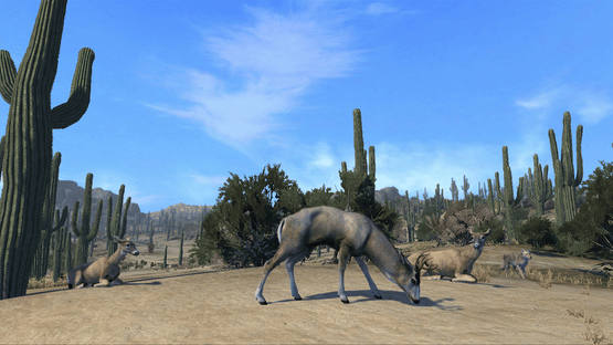 Cabela's Big Game Hunter: Pro Hunts Screenshot