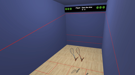 VR Squash 2017 Screenshot